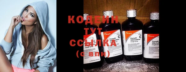 молекула духа Бикин