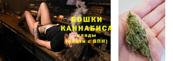 2c-b Надым