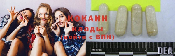 2c-b Надым