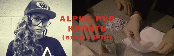 ECSTASY Михайлов