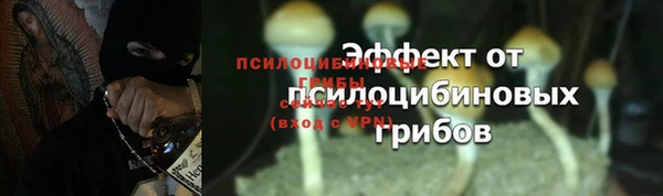 МДПВ Наволоки