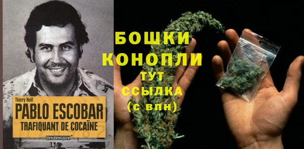 2c-b Надым